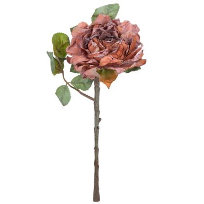 HASTE PEONIA BORDO - ALT 42 CM (MX775-3)