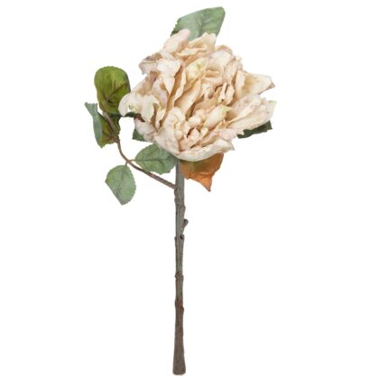 HASTE PEONIA CREME  - ALT 42 CM (MX775-4)