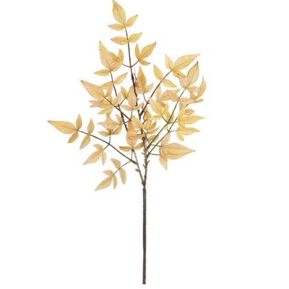 HASTE NANDINA BEGE - ALT 65 CM (MX782)