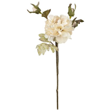 HASTE PEONIA BEGE 3 BOTOES - ALT 64 CM (MX789-1)