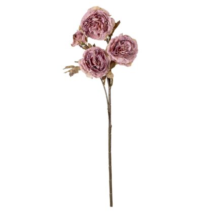 HASTE ROSA GARDEN ROSE - ALT 65 CM (MX795-1)
