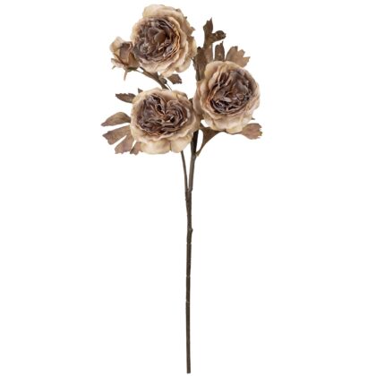 HASTE ROSA GARDEN MARROM - ALT 65 CM (MX795-3)