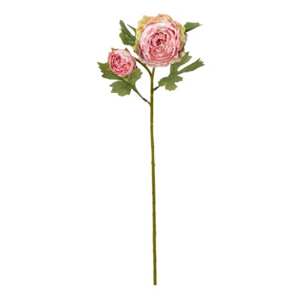 H. RANUNCULUS ENVELHECIDO ROSA - ALT 57 CM (MX796-3)