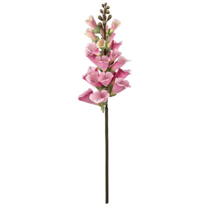 HASTE DIGITALIS - ALT 65 CM (MX808-2)