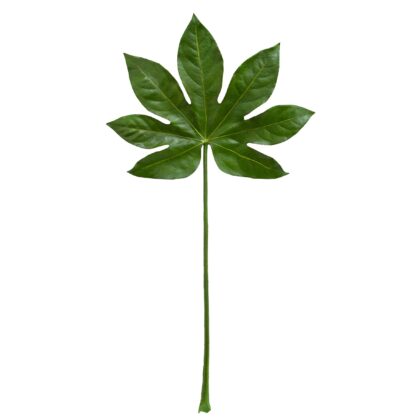 FOLHA DE PAPAYA - ALT 60 CM X LARG 29 CM (PH019)