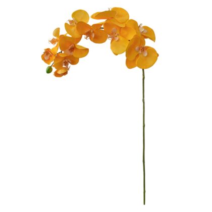 H. ORQUIDEA PHALAENOPSIS AMARELO TOQUE REAL (11 FLORES E 1 BOTAO) - ALT 100 CM (SC003-AM)
