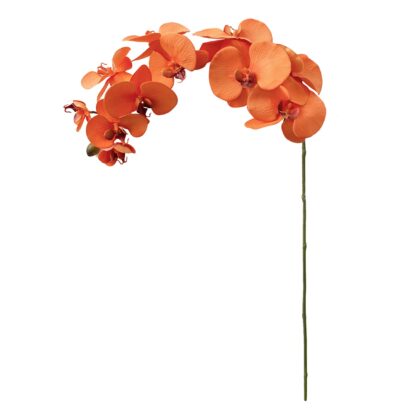 H. ORQUIDEA PHALAENOPSIS LARANJA TOQUE REAL (11 FLORES E 1 BOTAO) - ALT 100 CM (SC003-LAR)