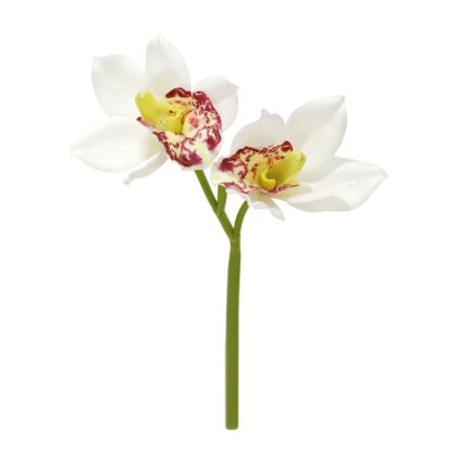 H. ORQUIDEA CYMBIDIUM X2 TOQUE REAL - ALT 27 CM (SC005-BR)