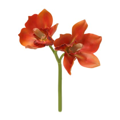 H. ORQUIDEA CYMBIDIUM X2 TOQUE REAL - ALT 27 CM (SC005-LAR)