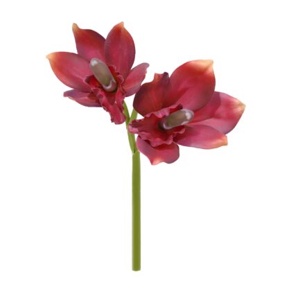 H. ORQUIDEA CYMBIDIUM X2 TOQUE REAL - ALT 27 CM (SC005-PK)