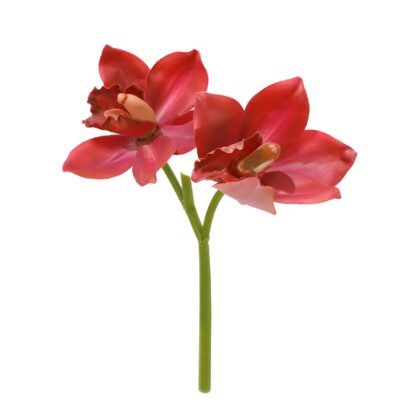 H. ORQUIDEA CYMBIDIUM X2 TOQUE REAL - ALT 27 CM (SC005-VM)