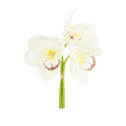 R. ORQUIDEA CYMBIDIUM SILICONE X3 - ALT 23 CM (SC012-BR)