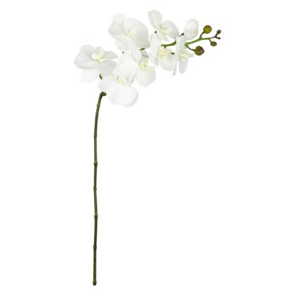 H. ORQUIDEA PHALAENOPSIS BRANCA TOQUE REAL X 8 - ALT 100 CM (SF211-BR)