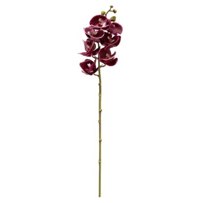 HASTE ORQUIDEA PHALAENOPSIS SILICONE - ALT 70 CM (SF220-5)