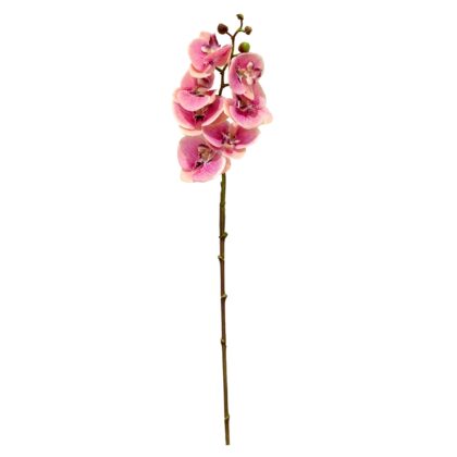HASTE ORQUIDEA PHALAENOPSIS SILICONE - ALT 70 CM (SF220-6)