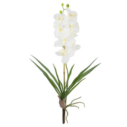 HASTE ORQUIDEA MINI VANDA - ALT 59 CM (SF305-BR)
