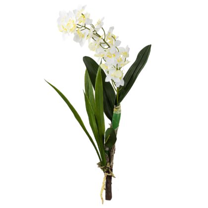 HASTE ORQUIDEA 3D - ALT 66 CM (SF344-1)