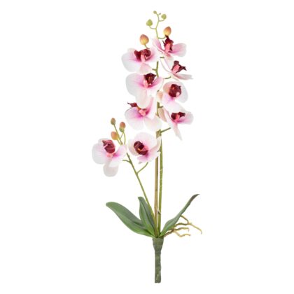 H. ORQUIDEA PHALAENOPSIS X2 C/ BAMBU 3D - ALT 60 CM (SF345-4)