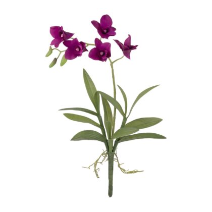 H. ORQUIDEA DENPHAL TOQUE REAL 4X - ALT 48 CM (SF346-1)