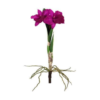 HASTE ORQUIDEA CATTLEYA X1 - ALT 54 CM (SF349-2)