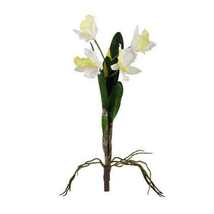 HASTE ORQUIDEA CATTLEYA X2 - ALT 60 CM (SF350-1)