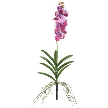 HASTE ORQUIDEA - ALT 70 CM (SF352)