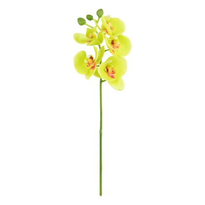 HASTE MINI PHALAENOPSIS SILICONE VERDE - ALT 38 CM (SF401-2)