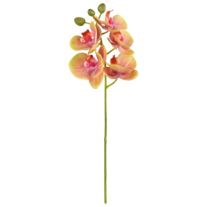 HASTE MINI PHALAENOPSIS SILICONE FERRUGEM - ALT 38 CM (SF401-3)