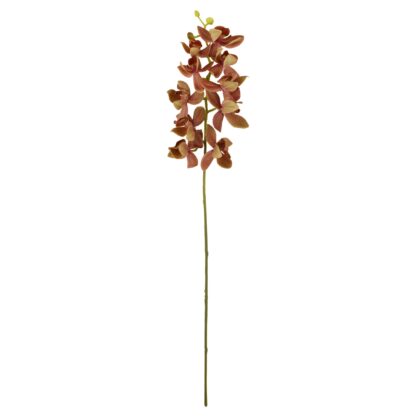 HASTE MINI ORQUIDEA TERRACOTA - ALT 58 CM (SF403-3)