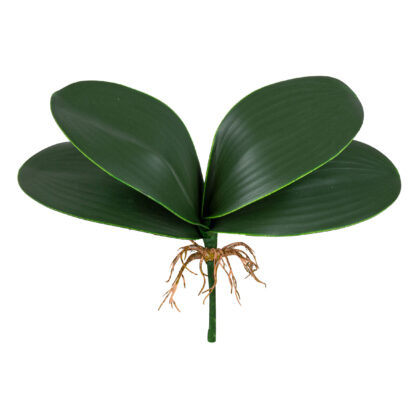 FOLHA ORQUIDEA X 4 COM RAIZ - ALT 30 CM X LARG 33 CM (SH323)