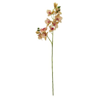 HASTE ORQUÍDEA PHALAENOPSIS AMARELA X 2 3D (10 FLORES) - ALT 85 CM (SH385-AM)