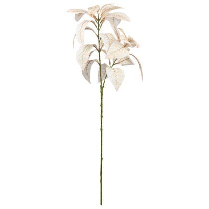 HASTE FOLHAGEM FICUS ALTISSIMA OUTONADA PROTECAO UV - ALT 70 CM (SH563)