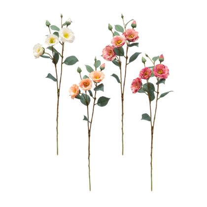 HASTE ANEMONA (4 CORES) - ALT 65 CM (SH751)