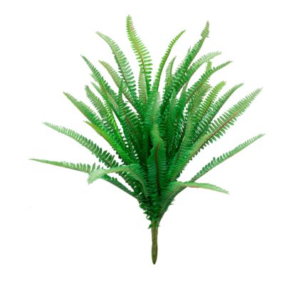 BUQUE SAMAMBAIA - ALT 50 CM (SJ066)