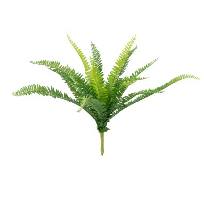 BUQUE SAMAMBAIA FOLHAGEM VERDE - ALT 55 CM (SJ071)