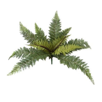 BUQUE SAMAMBAIA X 12 - ALT 50 CM (SJ127)