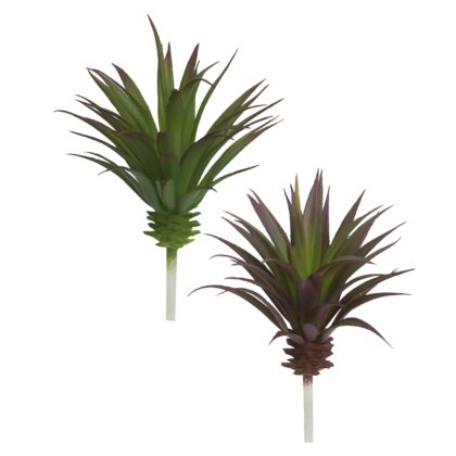 SUCULENTA AGAVE (2 CORES) - ALT 21 CM (SJ139)