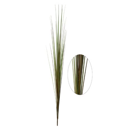 HASTE DE CAPIM GRASS - ALT 113 CM (SJ149)
