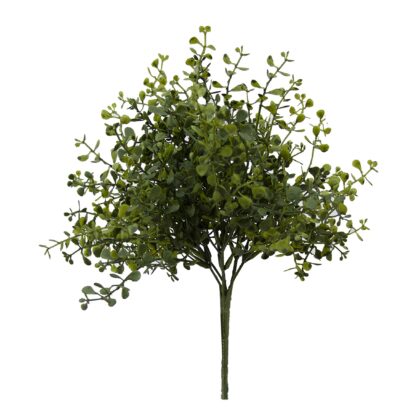 BUQUE DISCHIDIA VERDE - ALT 32 CM (SJ164)