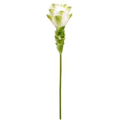 HASTE CURCUMA BRANCO TOQUE REAL - ALT 65 CM (SM443-BR)