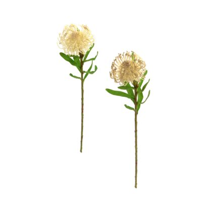 HASTE PROTEA (2 CORES) - ALT 58 CM (SM444)