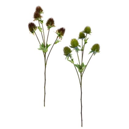 HASTE DIPSACUS COM FOLHA 3D (2 CORES) - ALT 72 CM (SM445)