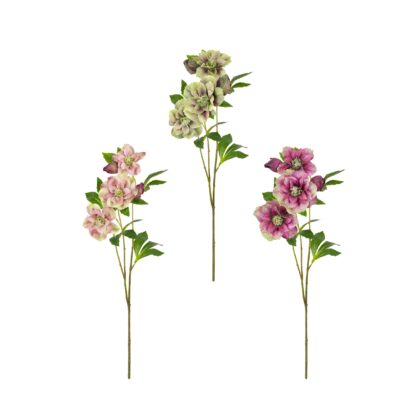 HASTE HELLEBORUS (3 CORES) - ALT 62 CM  (SM463)