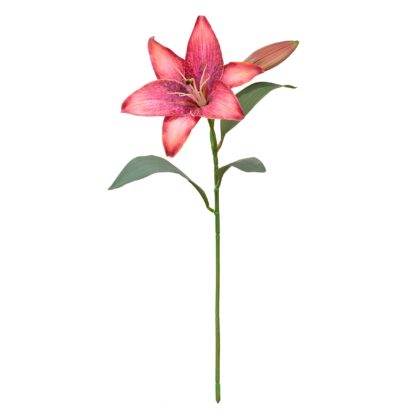 H. LIRIO 3D MAGENTA TOQUE REAL - ALT 50 CM (SY021-4)