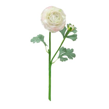 HASTE?RANUNCULUS 3D AVELUDADO - ALT 47 CM (SY026-BR)
