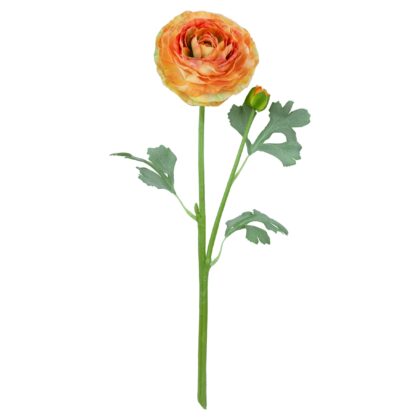 HASTE?RANUNCULUS 3D AVELUDADO - ALT 47 CM (SY026-LAJ)