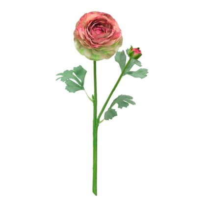 HASTE?RANUNCULUS 3D AVELUDADO - ALT 47 CM (SY026-RS)