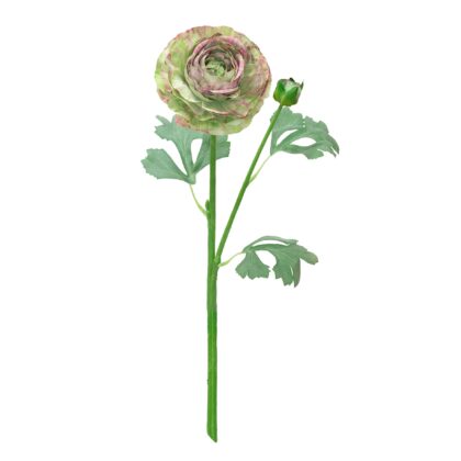 HASTE?RANUNCULUS 3D AVELUDADO - ALT 47 CM (SY026-VD)