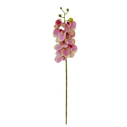 HASTE ORQUIDEA PHALAENOPSIS 3D X7 TOQUE REAL - ALT 75 CM (XF001-6)