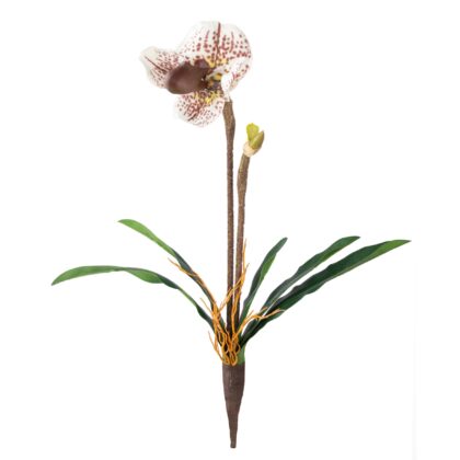 HASTE ORQUIDEA CYPRIPEDIUM 3D - ALT 50 CM (XF008-4)